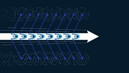The innovation commitment
